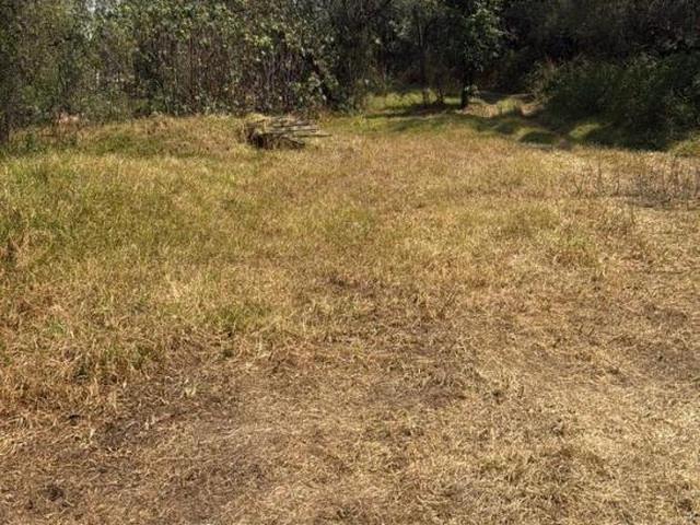 Colinas del bosque, terreno para desarrollo