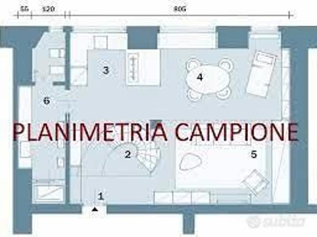 COLLEGNO MONOLOCALE LIBERO: 325 euro