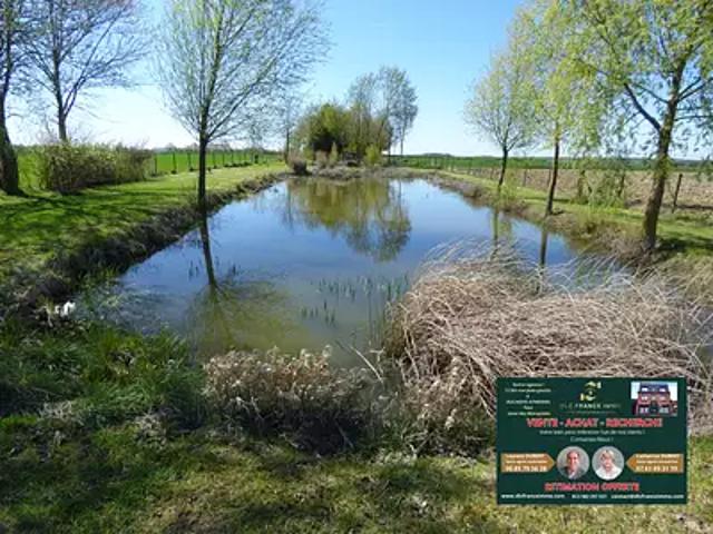 Colleret 59680 Achat / Vente maison 7 pièces t7