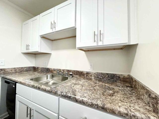 Collinwood Apartments 2 Bedroom Apartment for Rent at 100 Tricia Ln, Newport News, VA 23601 South Morrison