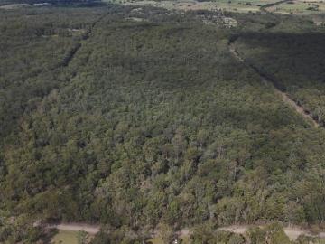 Land Collombatti NSW 101954772