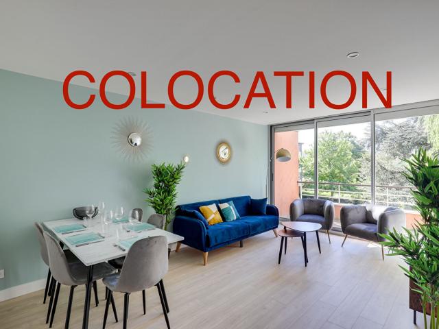 Colocation Appartement en duplex Massy 1 pièce 30m2, Massy