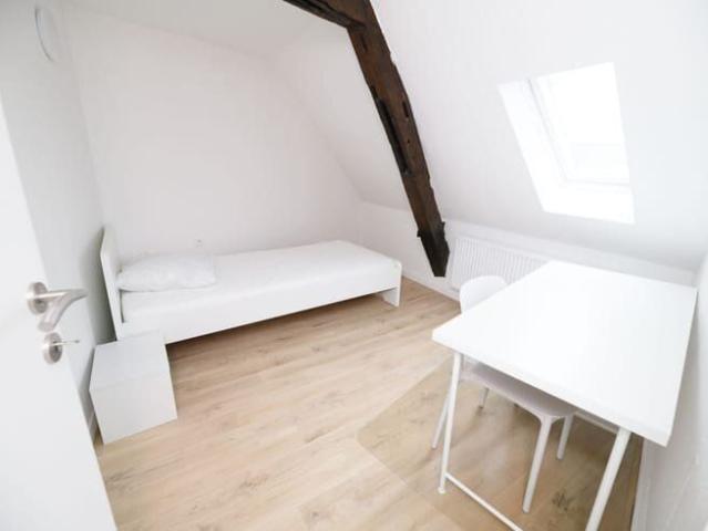 Colocation Tournai