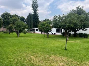 Colonia las fuentes con un amplio jardín