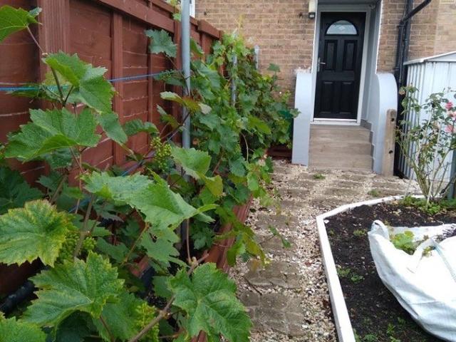 Copthorne Square, Huddersfield HD2, 3 bed terraced house to rent, £1,150 pcm | PrimeLocation