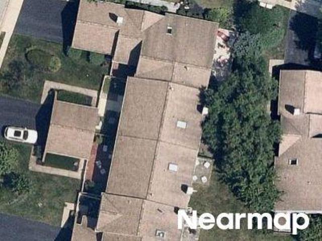 Copper Beech Dr