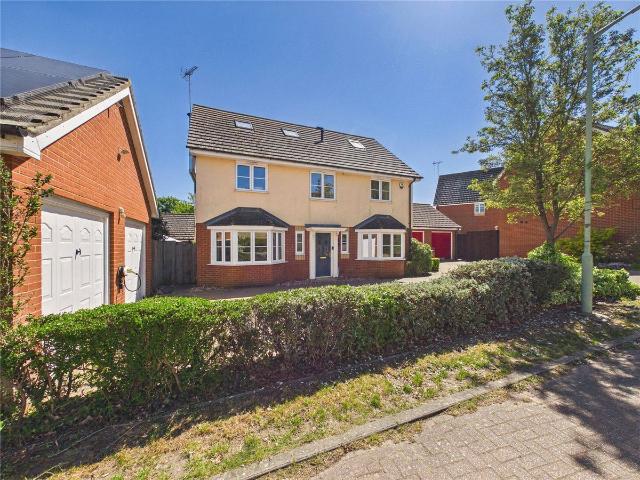 Copper Grove, Pinewood, Ipswich, Suffolk IP8, 6 bed detached house to rent, £2,300 pcm | PrimeLocation