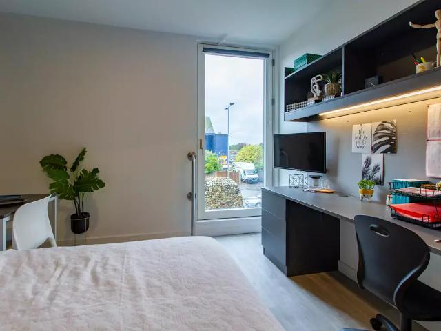 Copper Studio at Benedicts Gate, 71. Studio to rent £949 pcm £219 pw