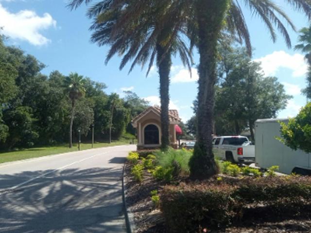 Coppola Dr