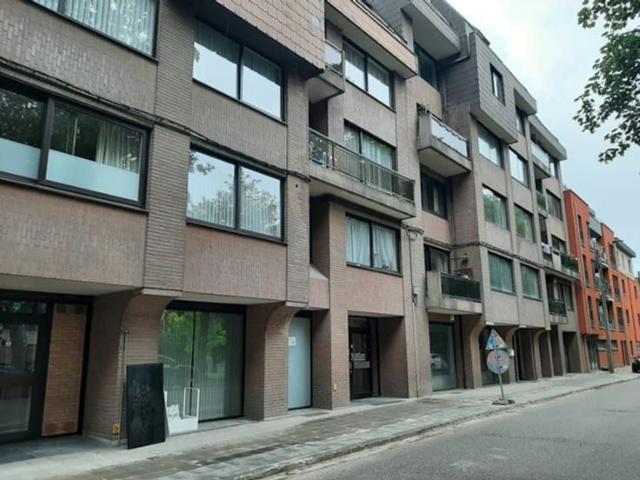 Coquet appartement d'une chambre face au parc