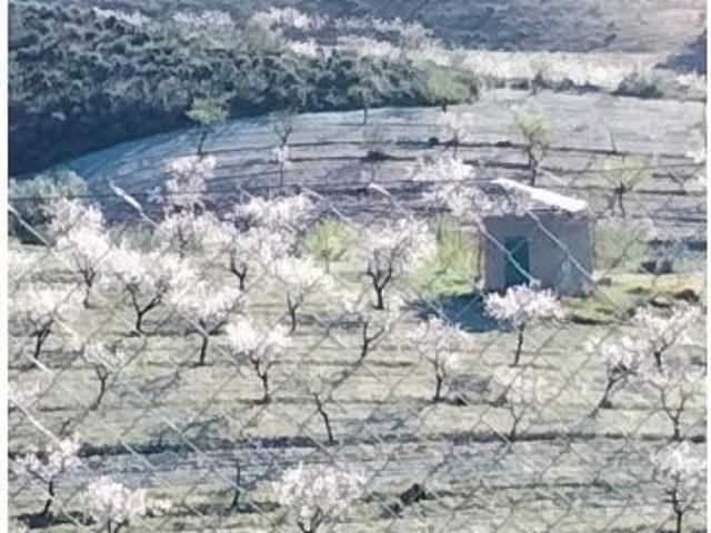 CORTIJO NUEVO EN ULEILA