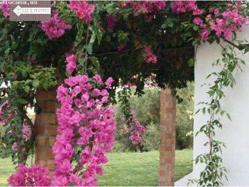 CORTIJO ANDALUZ CON COMODIDADES DE LUJO UN OASIS CERCA DEL MAR A LOS PIES DE SIERRA BERMEJA