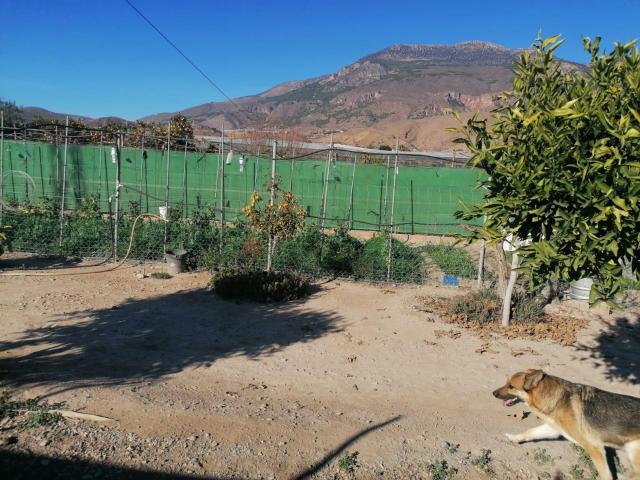 Cortijo con terreno