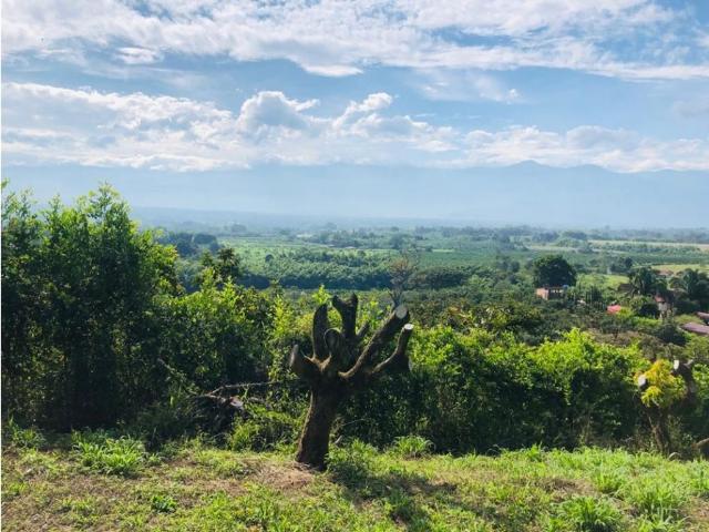 Cortijo de alto standing de 12800 m2 en venta Montenegro, Quindío Department