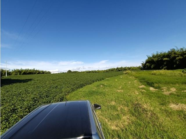 Cortijo de alto standing de 422400 m2 en venta Montenegro, Colombia
