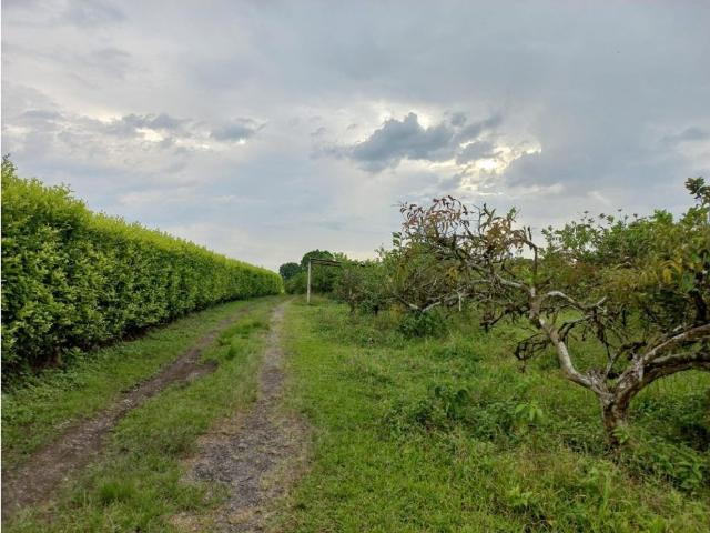 Cortijo de alto standing de 512000 m2 en venta Montenegro, Quindío Department