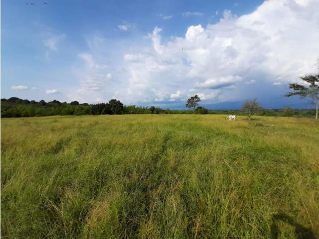 Cortijo de alto standing de 518400 m2 en venta Montenegro, Colombia