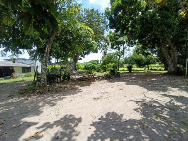 Cortijo de alto standing de 62720 m2 en venta Montenegro, Colombia