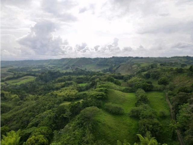 Cortijo de alto standing de 697600 m2 en venta Montenegro, Quindío Department