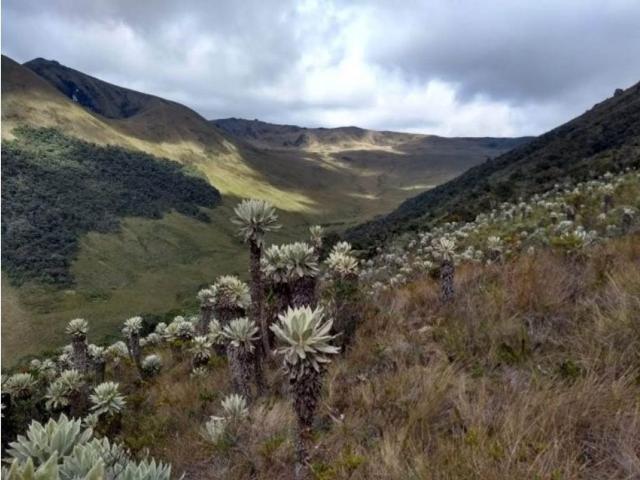 Cortijo de alto standing de 8832000 m2 en venta Sevilla, Departamento del Valle del Cauca
