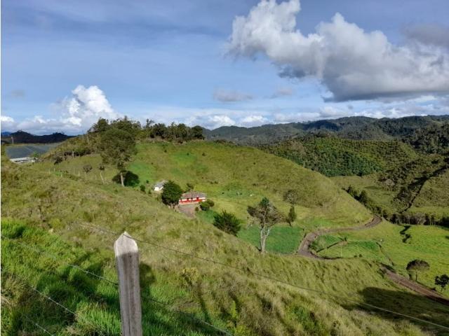 Cortijo de alto standing en venta Concepción, Colombia
