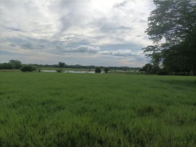 Cortijo de alto standing en venta Ayapel, Colombia