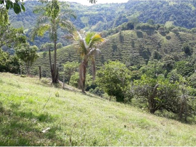 Cortijo de alto standing en venta Filadelfia, Departamento de Caldas