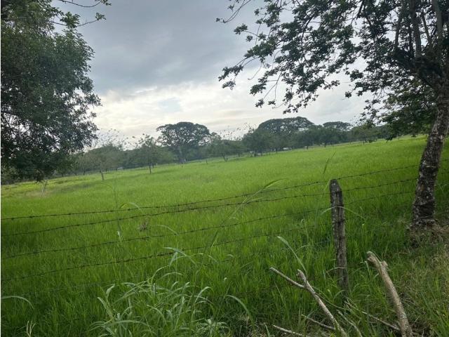 Cortijo de alto standing en venta Obando, Colombia