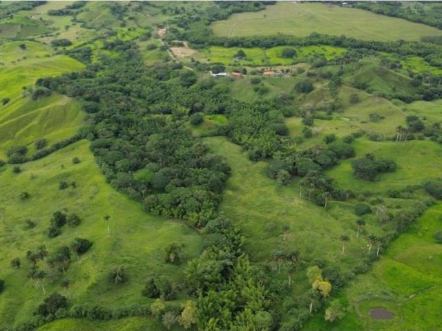 Cortijo de alto standing en venta Obando, Colombia