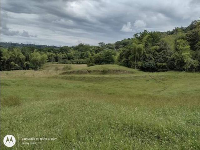 Cortijo de alto standing en venta Montenegro, Colombia