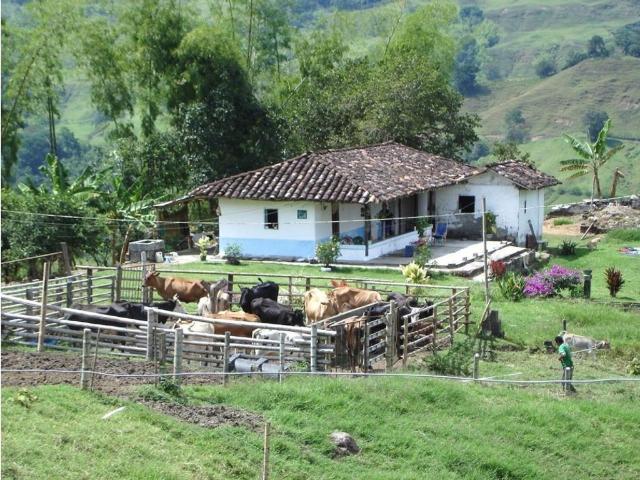 Cortijo de alto standing en venta Montenegro, Quindío Department