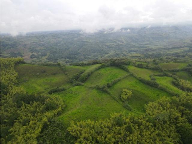 Cortijo de alto standing en venta Montenegro, Quindío Department