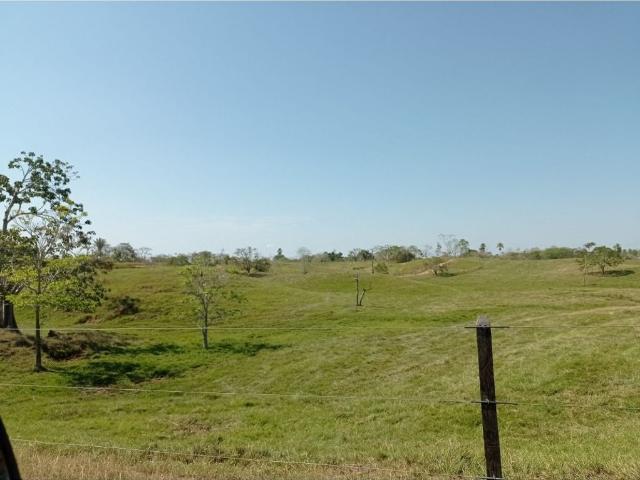 Cortijo de alto standing en venta Planeta Rica, Departamento de Córdoba