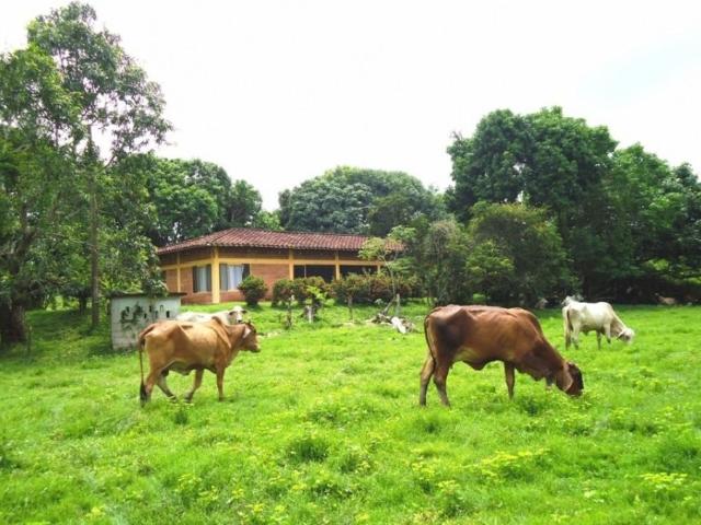 Cortijo de alto standing en venta Puerto Boyacá, Departamento de Boyacá