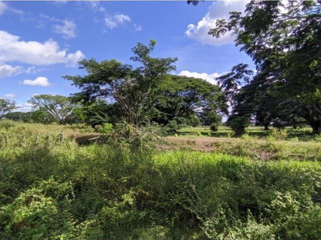 Cortijo de alto standing en venta Valledupar, Colombia