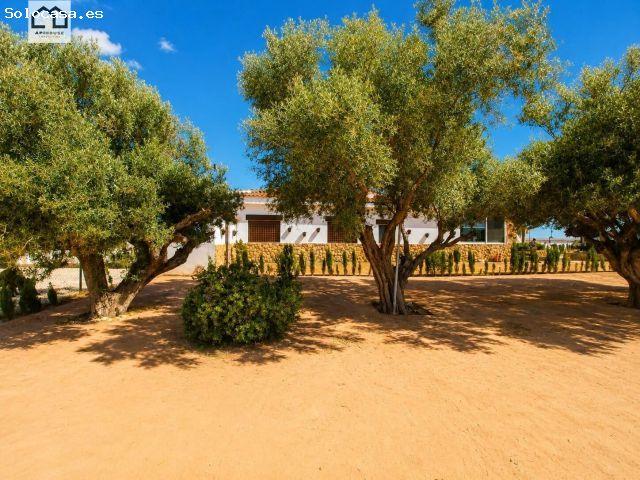CORTIJO EXCLUSIVO EN DOLORES + OPCIÓN VENTA A PLAZOS | MÁS DE 13.250 m2 DE PARCELA