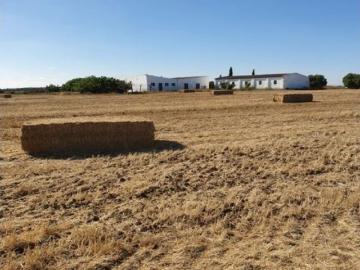 CORTIJO EXPLOTACION AGRARIA Y CABALLOS FRENTE SAN ANDRES GOLF