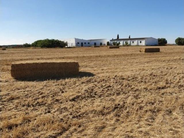 CORTIJO EXPLOTACION AGRARIA Y CABALLOS FRENTE SAN ANDRES GOLF