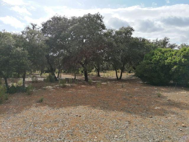 Cortijo en la sierra de Cádiz