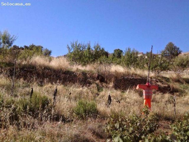 Cortijo en Venta en Alcudia de Guadix, Granada
