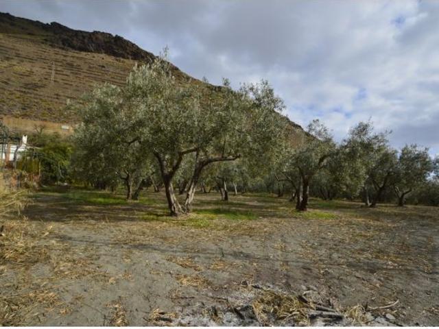 Cortijo en Venta en Gérgal, Almería