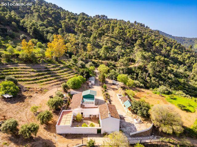 Cortijo Las Vizcaínas — Autenticidad andaluza en plena naturaleza