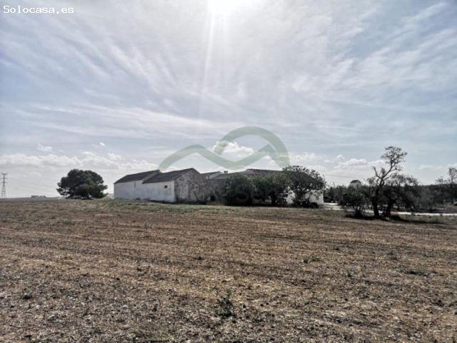 Cortijo 900 m2, 11 Has, Piscina, Olivos