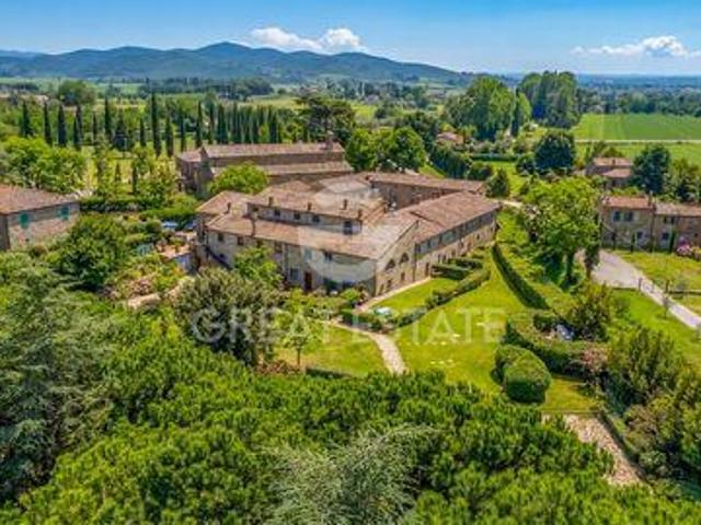 Cortona Arezzo 100341947