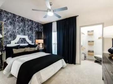 Dallas TX, Dallas County, Texas, Texas, USA
