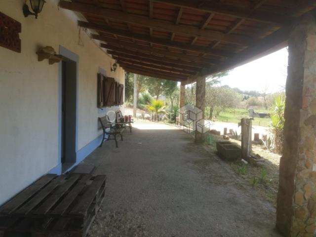 Coruche, Casa Rustica T3 para remodelar a 50 minutos de Lisboa com terreno de 11200m2 e 2 poços