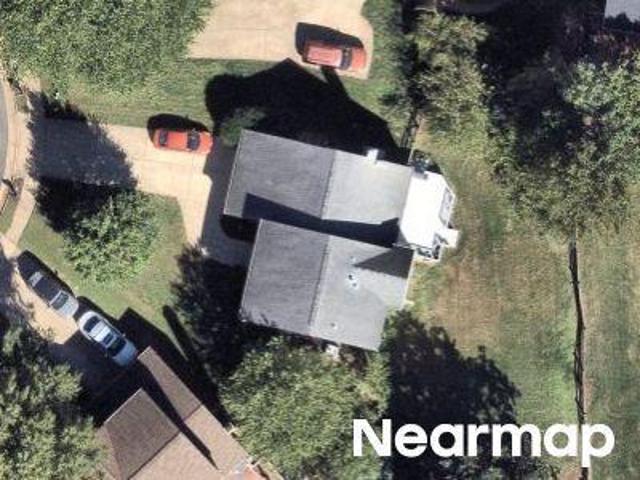 Corydalis Ct