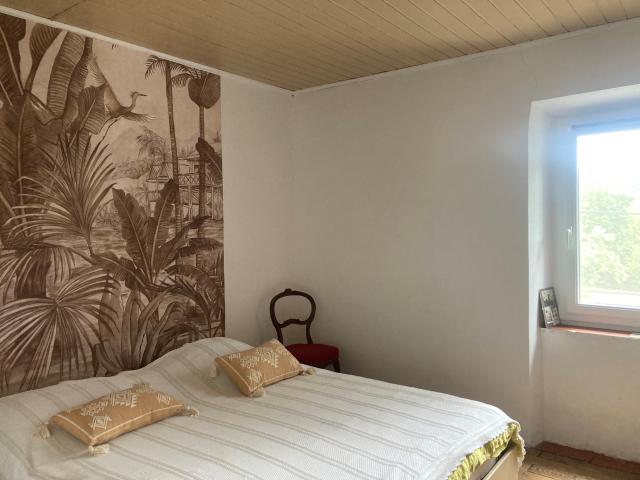 Corbières vertes, maison 4 chambres terrain 5000m2 avec source