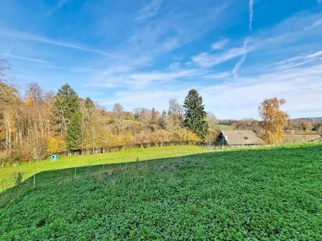 CORCELLES LE JORAT, neue Doppelhaushälfte mit 7,5 Zimmern