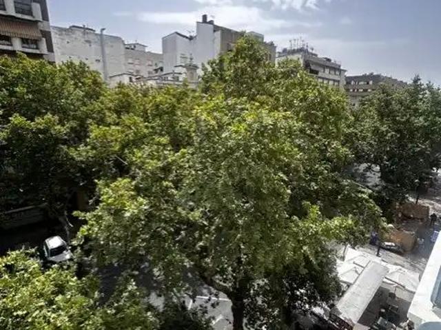 Córdoba